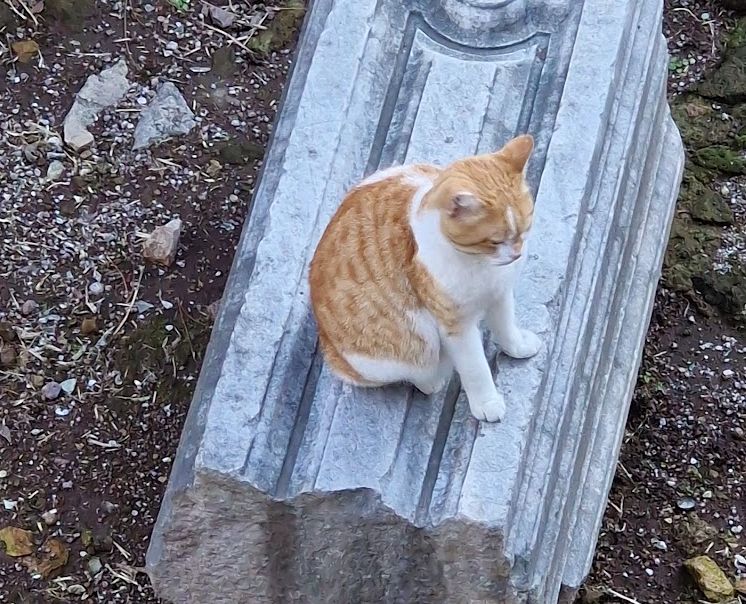 Mennesker på kjøkken